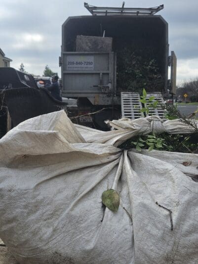 e79613e3-ba88-4980-87ee-7f9bf0bbf941