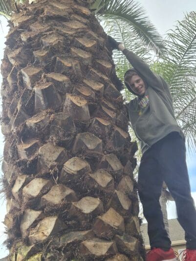 ad65497f-aec5-4abf-95c6-debf07e97f29