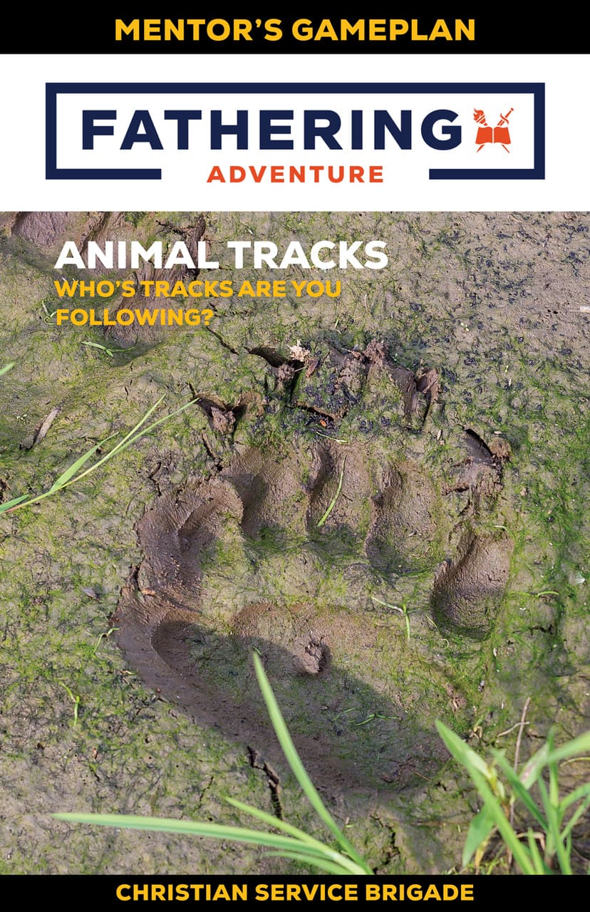 Animal Tracks Fathering Adventure Forum