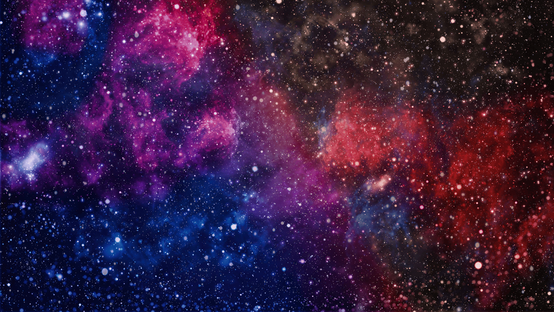Tree Climbers Guild – Outer Space