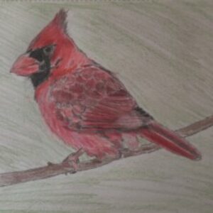 Profile photo of Paul Ihrig