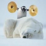 Profile photo of Andy Puttbach